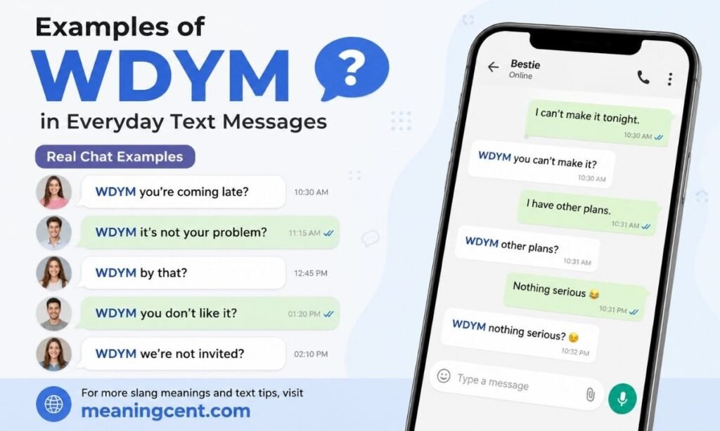 Examples of WDYM in Everyday Text Messages