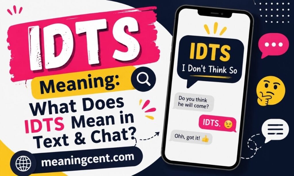 IDTS Meaning What Does IDTS Mean in Text & Chat