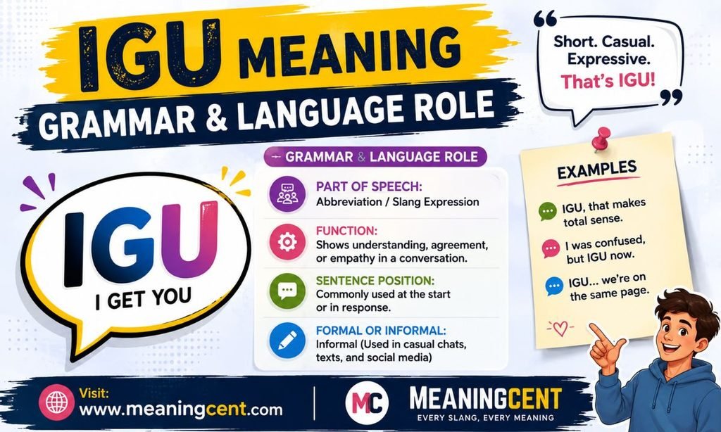 IGU Meaning Grammar & Language Role