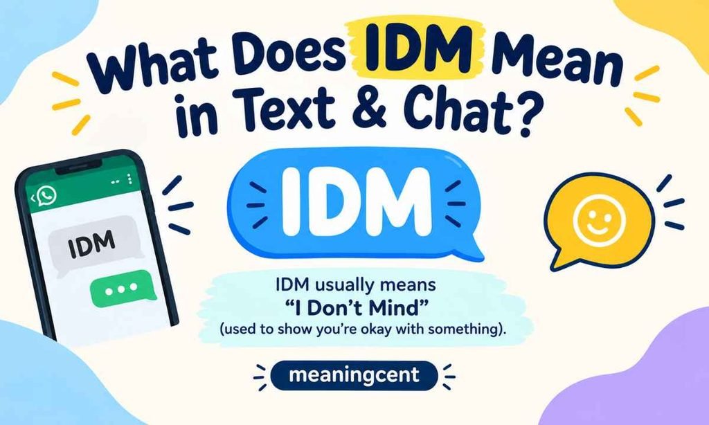What Does IDM Mean in Text & Chat